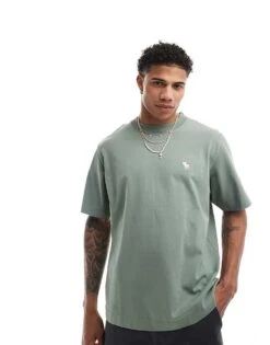 Abercrombie & Fitch Premium Silicone Icon Logo T-shirt In Mid Green For Men -Abercrombie and Fitch Fashion Shop 206937711 1 midgreen 1