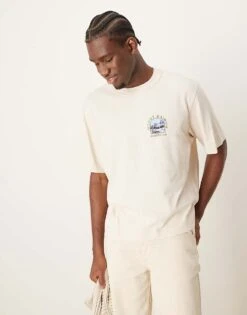 Abercrombie & Fitch National Parks Mount Rainer Back Print Crop T-shirt In Moonbeam For Men