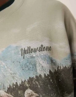 Abercrombie & Fitch National Parks Yellowstone Print Sweatshirt In Light Green For Men -Abercrombie and Fitch Fashion Shop 207327892 4