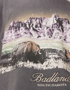 Abercrombie & Fitch National Parks Badlands Print Acid Wash Crop T-shirt In Charcoal For Men -Abercrombie and Fitch Fashion Shop 207327917 4